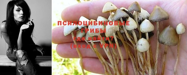 стаф Абинск