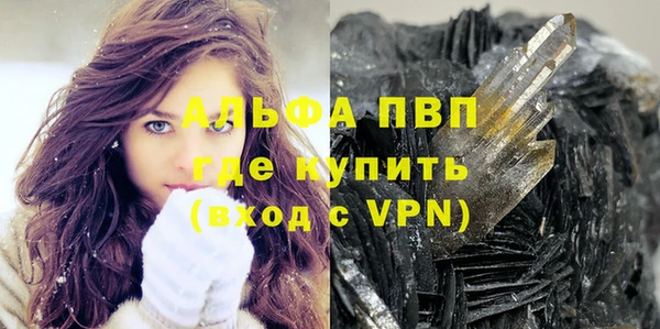 стаф Абинск